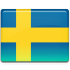 Swedish Kroner